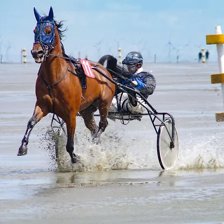 Apartament Strandnahe Souterrain-ferienwohnung Haus Sonneneck 4 *