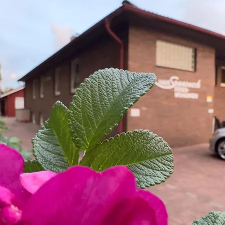 Strandnahe Souterrain-ferienwohnung Haus Sonneneck 4 Appartement